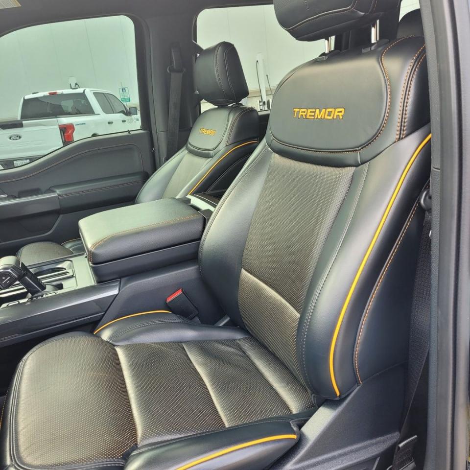 2022 Ford F-150 Tremor Photo30