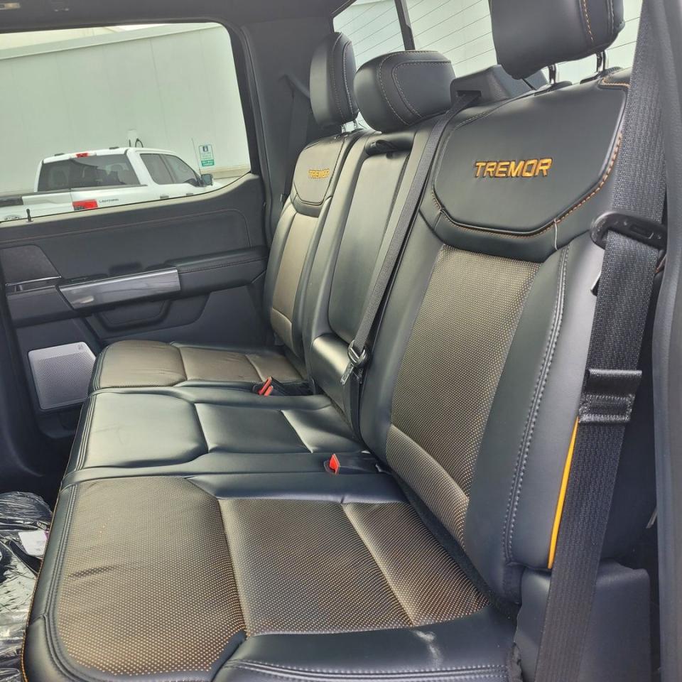 2022 Ford F-150 Tremor Photo31