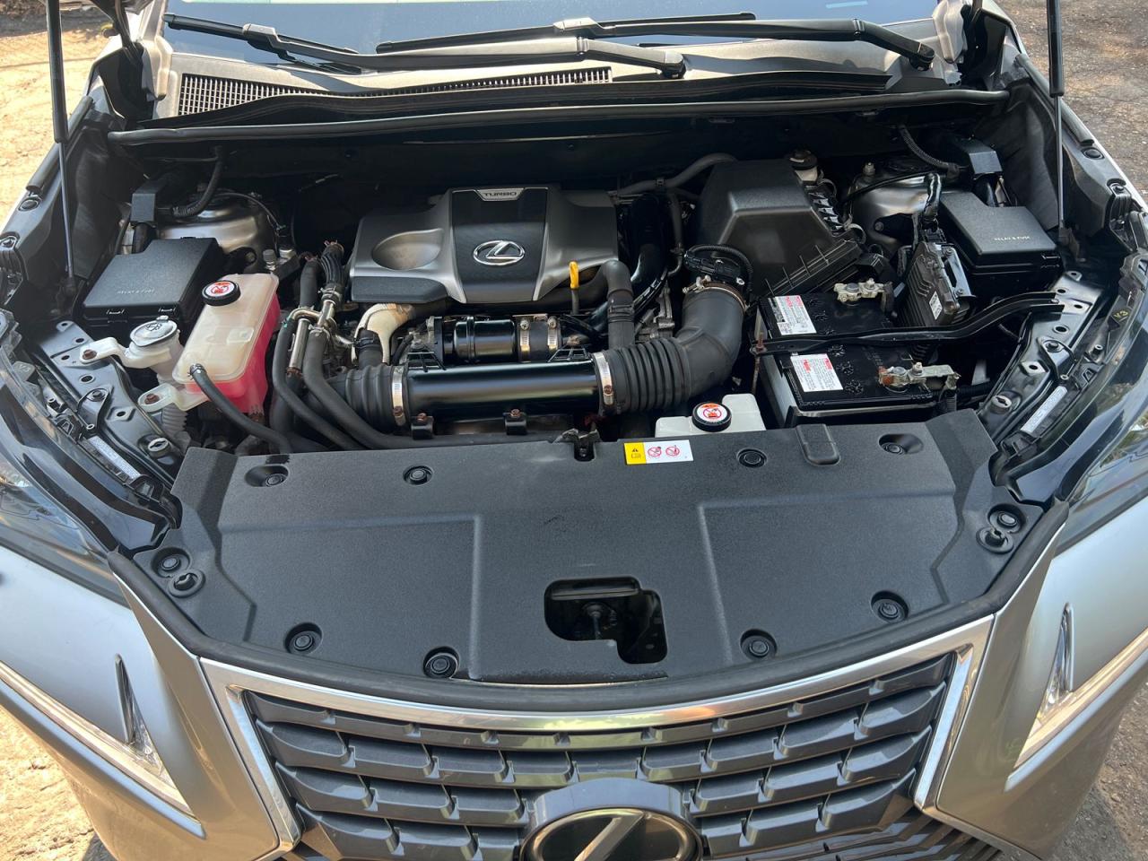 2019 Lexus NX NX 300 - Photo #8