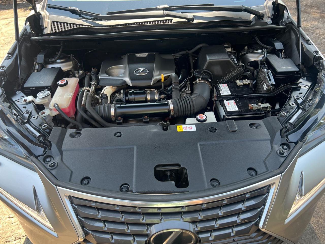 2019 Lexus NX NX 300 - Photo #8