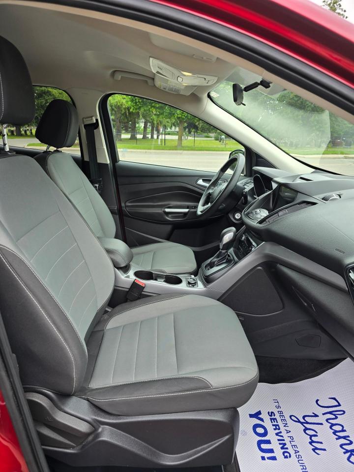 2016 Ford Escape 4WD 4dr SE - Photo #6