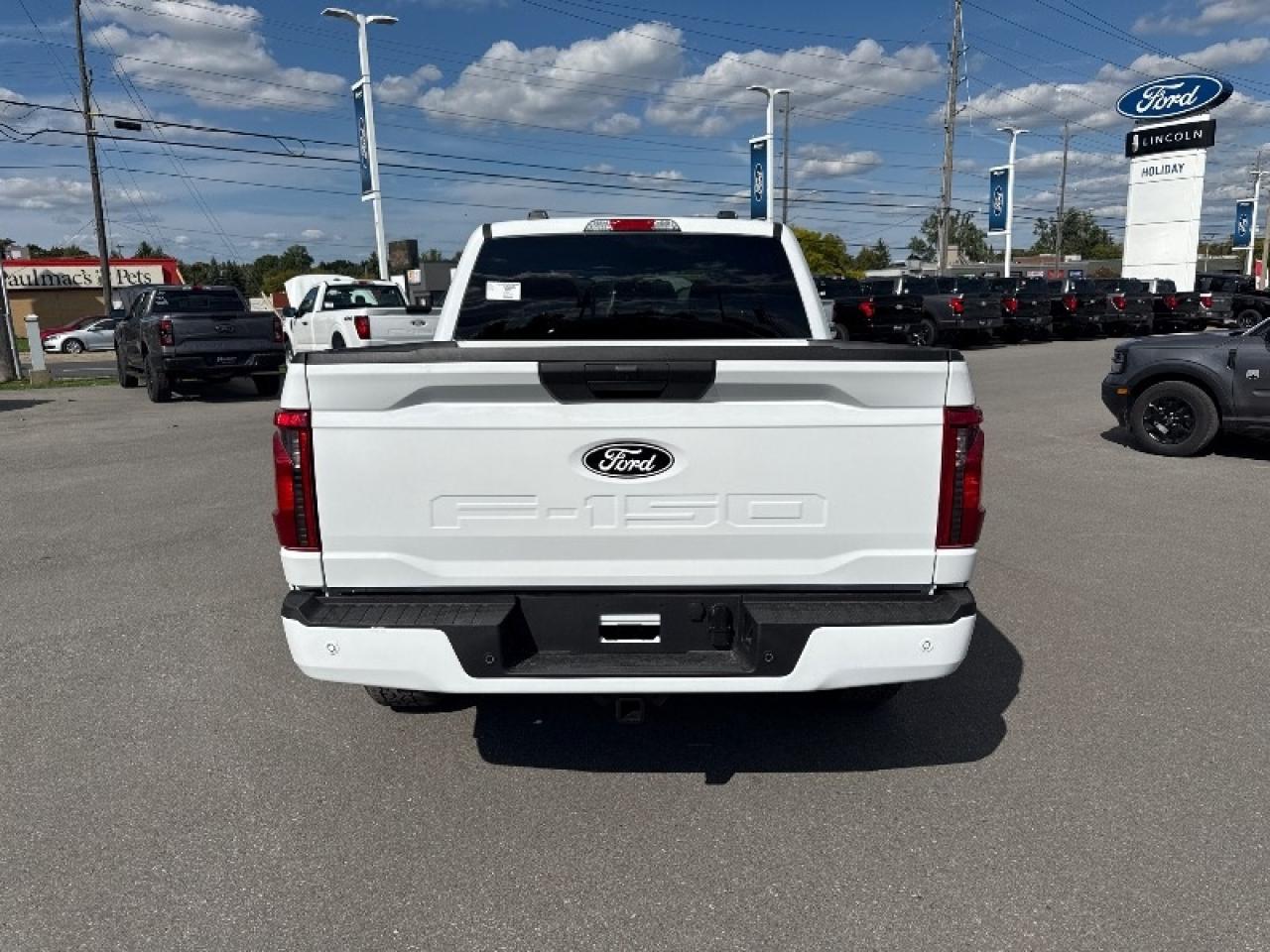 2025 Ford F-150 XLT Photo2