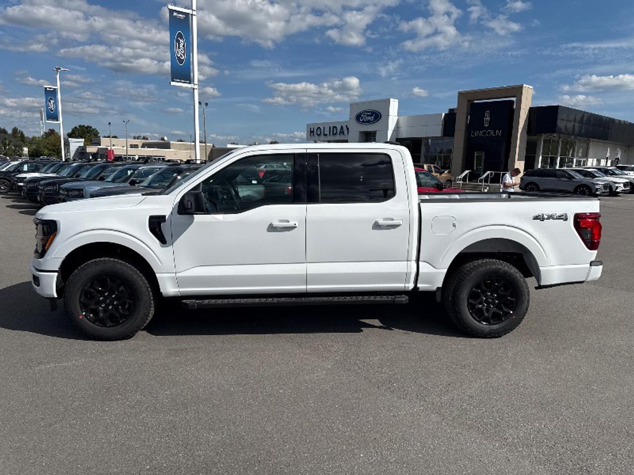 2025 Ford F-150 XLT Photo
