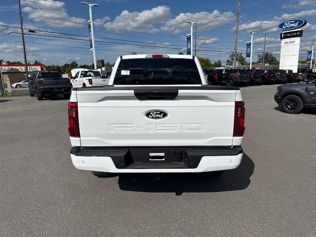 2025 Ford F-150 XLT Photo