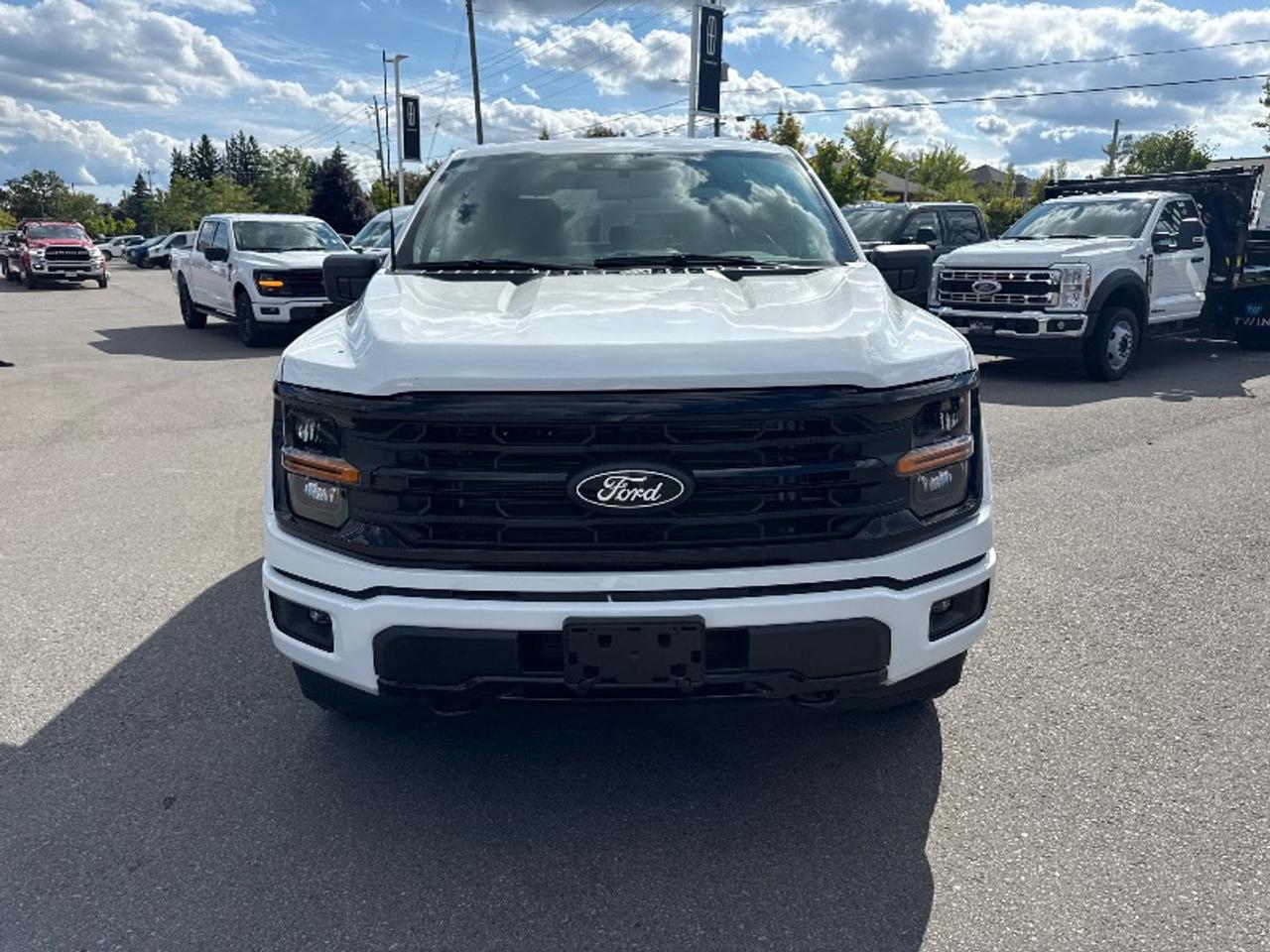 2025 Ford F-150 XLT Photo