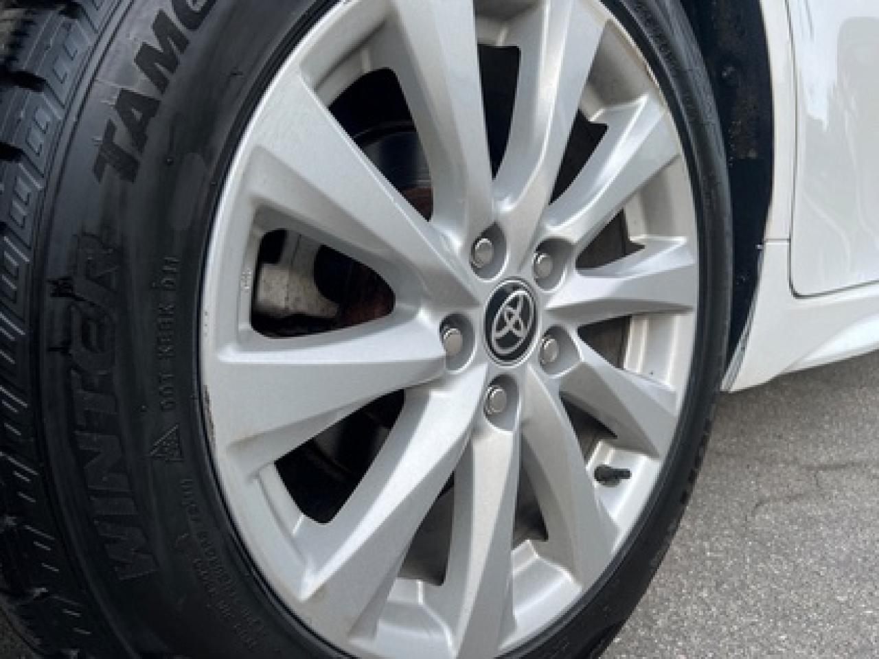 2020 Toyota Camry SE Photo