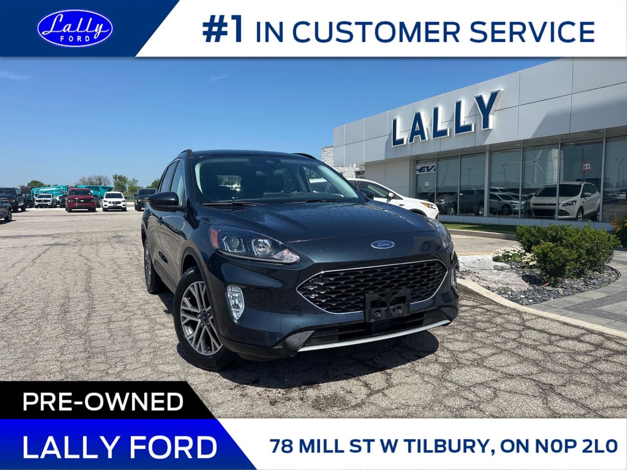 Used 2022 Ford Escape SEL ’s, Moonroof, Nav, Mint!! for sale in Tilbury, ON