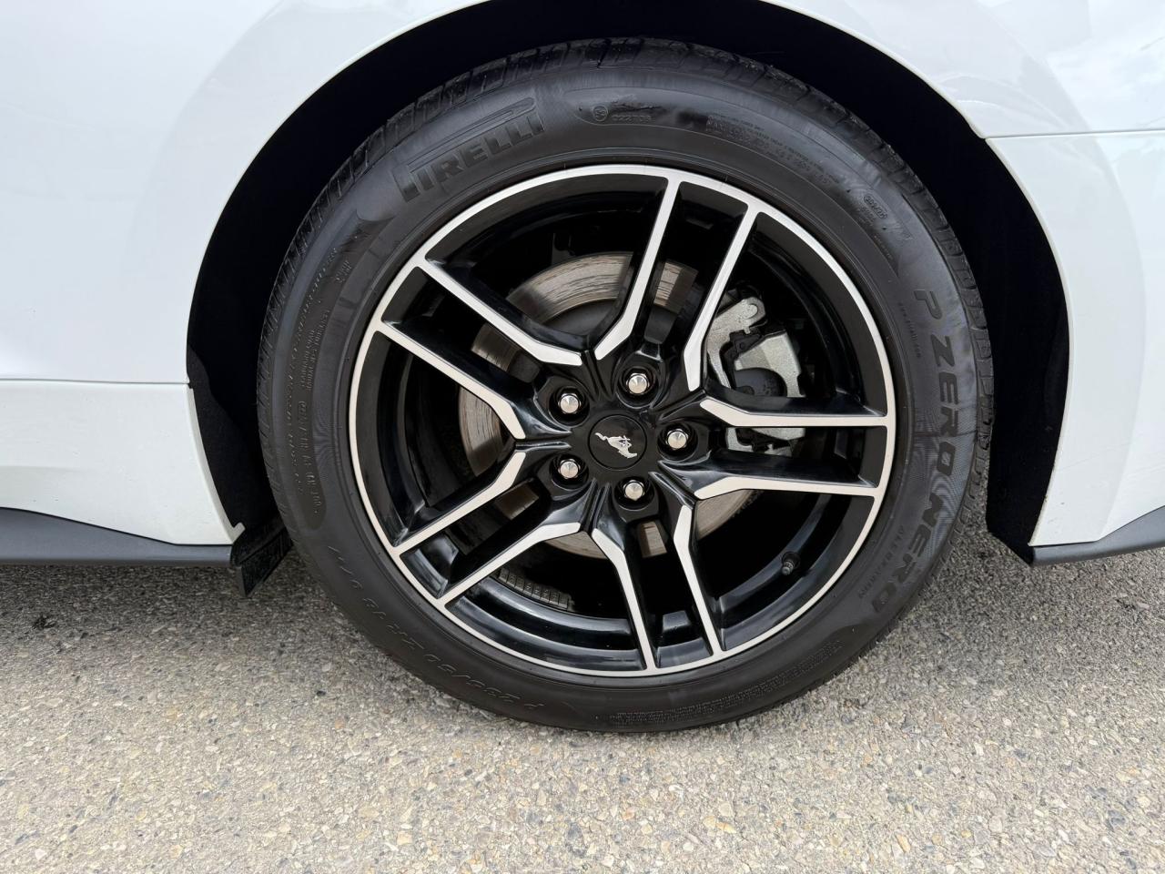 2022 Ford Mustang GT Premium Convertible 6spd Manual - Photo #11