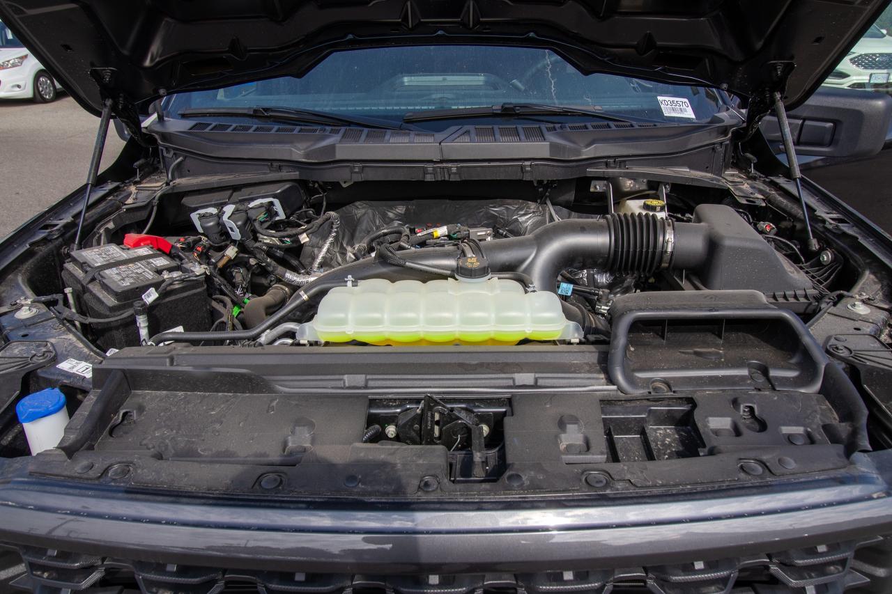 2025 Ford F-150 STX 4WD SuperCrew 5.5' Box Photo5