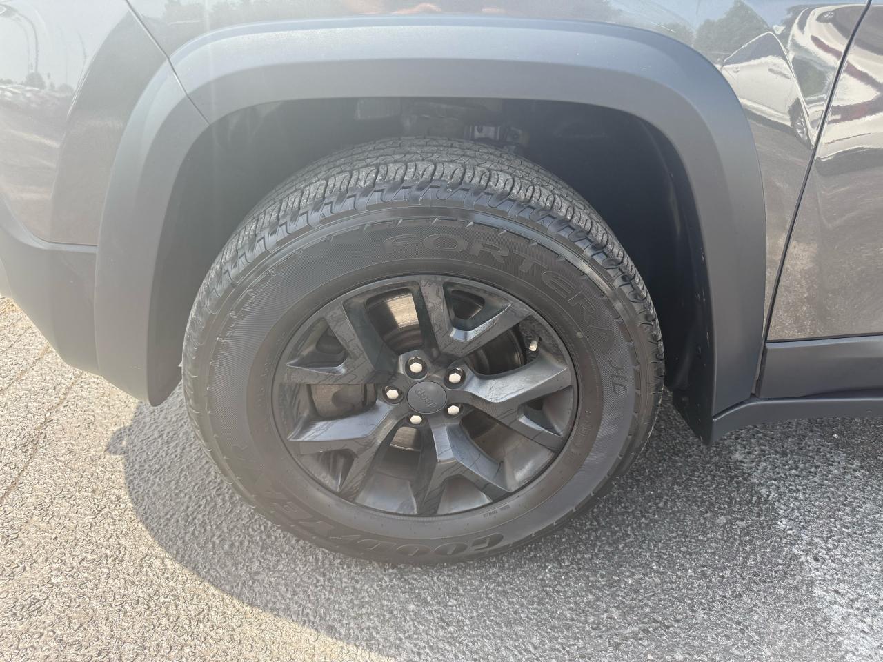 2016 Jeep Cherokee Trailhawk * PANO SUNROOF*CERTIFIED Photo10