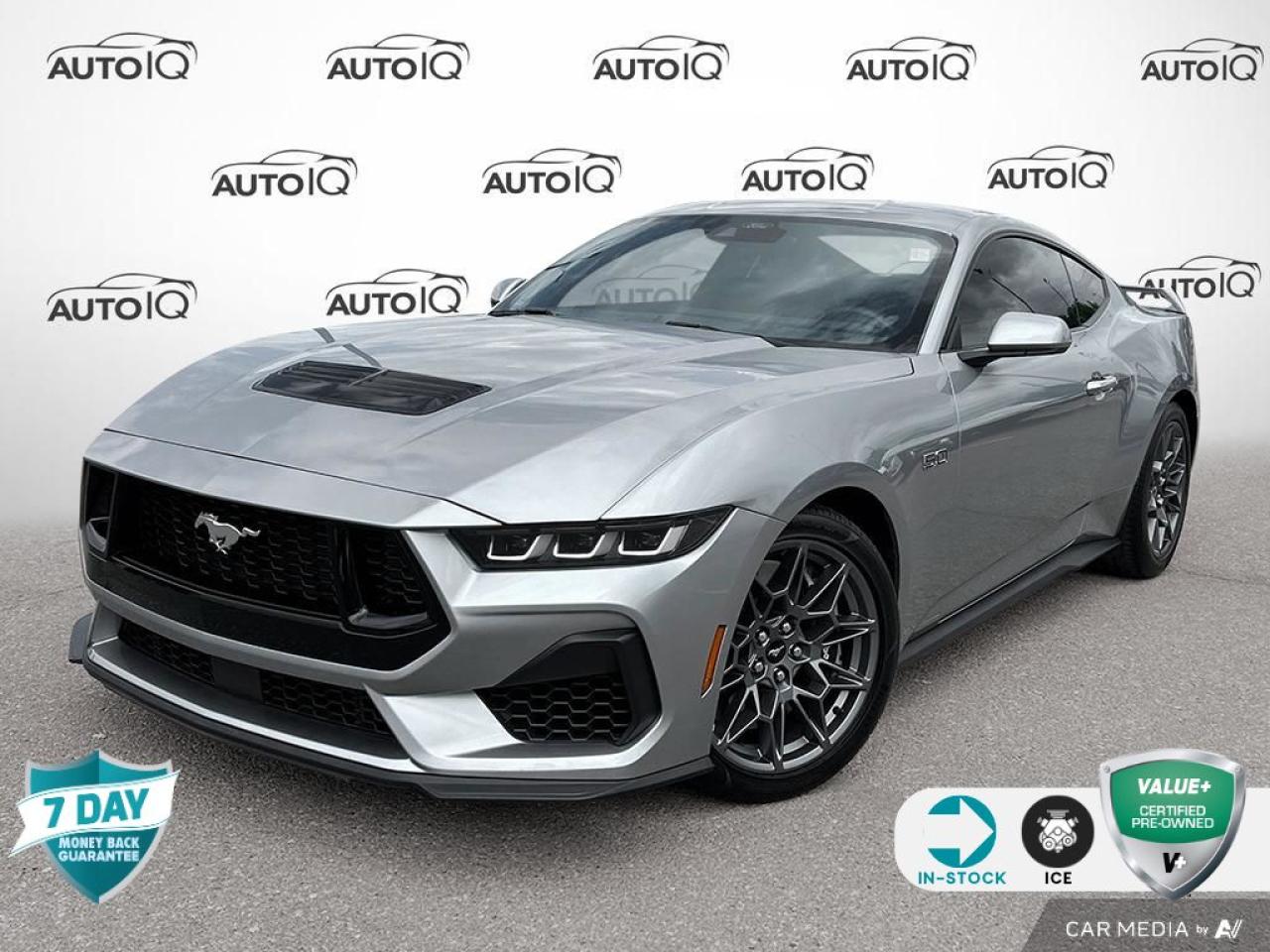 Used 2024 Ford Mustang GT Premium for sale in Oakville, ON