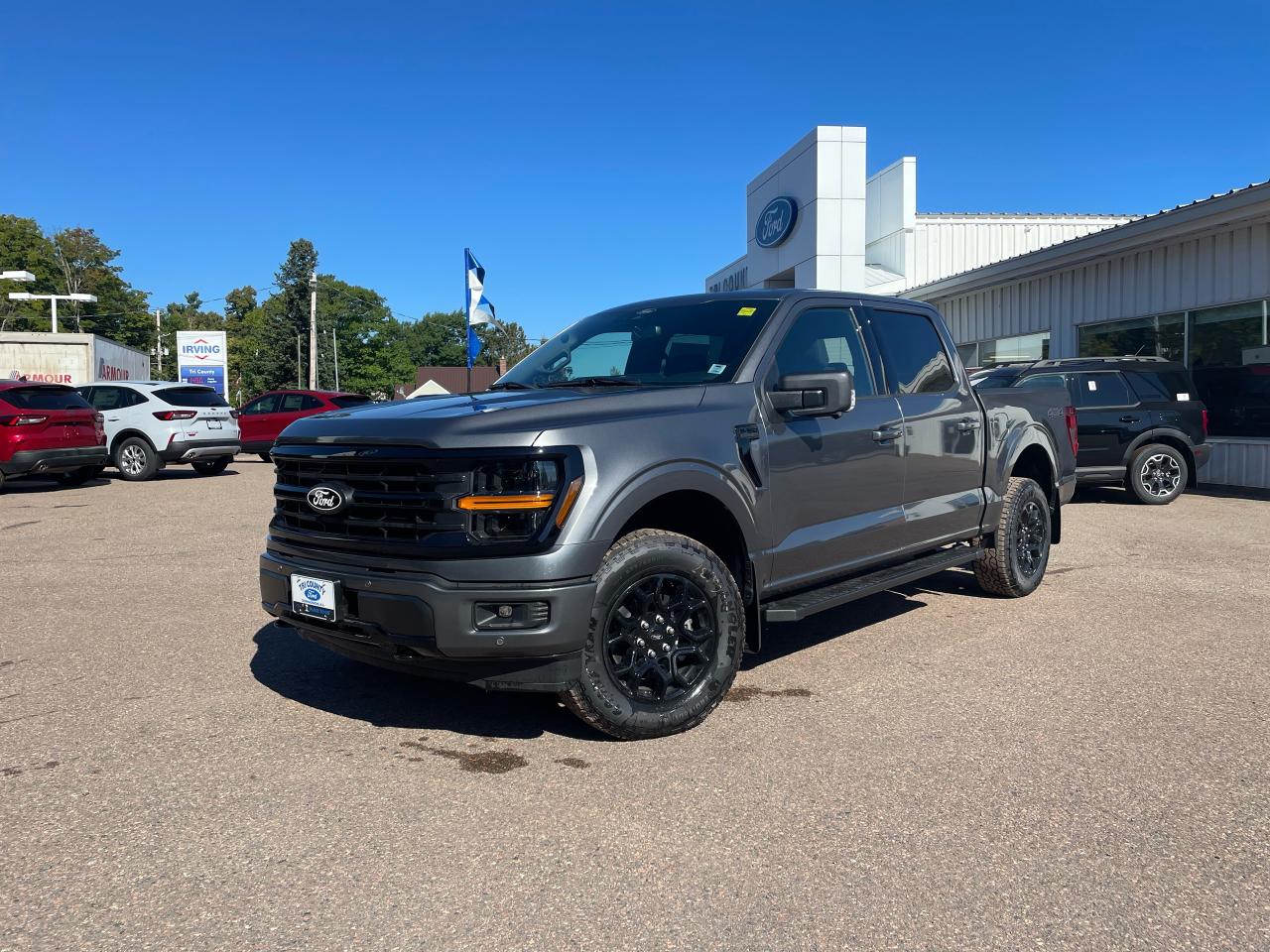 2025 Ford F-150 XLT Photo2