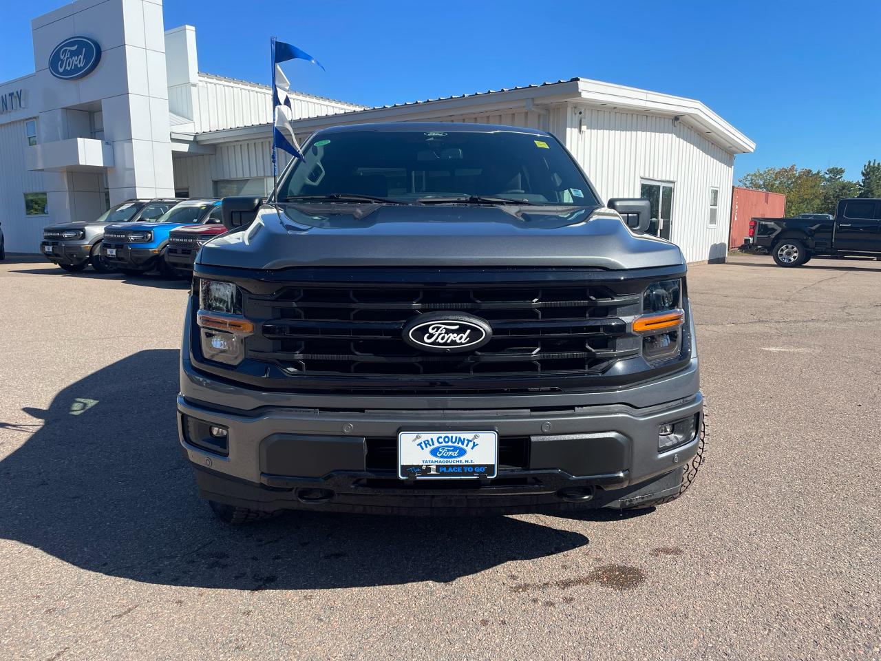 2025 Ford F-150 XLT Photo
