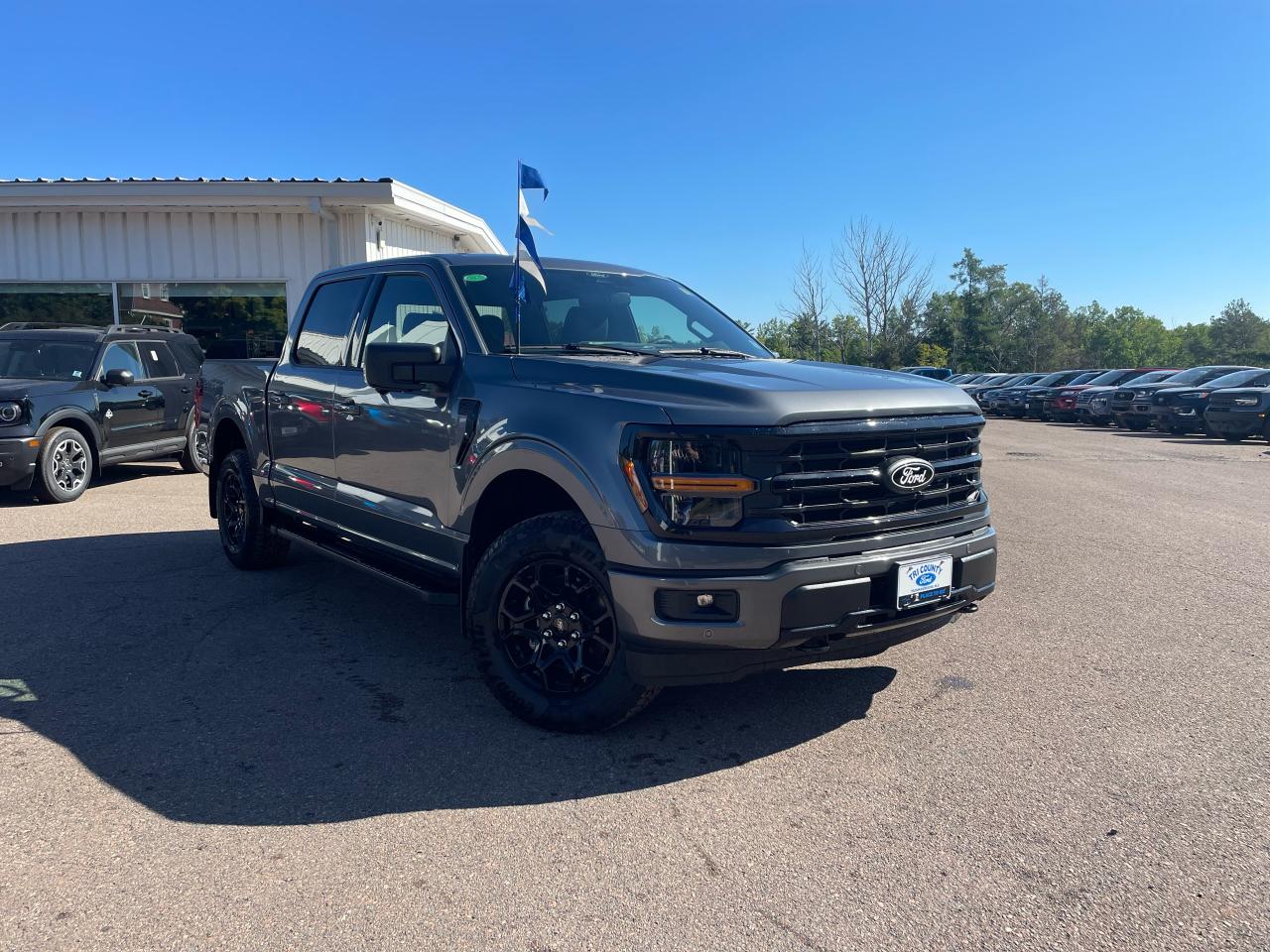 2025 Ford F-150 XLT Photo0