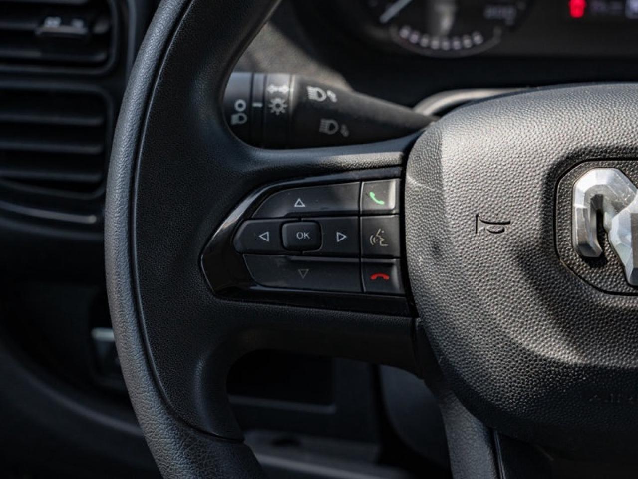 2024 RAM Cargo Van ProMaster TRADESMAN Photo