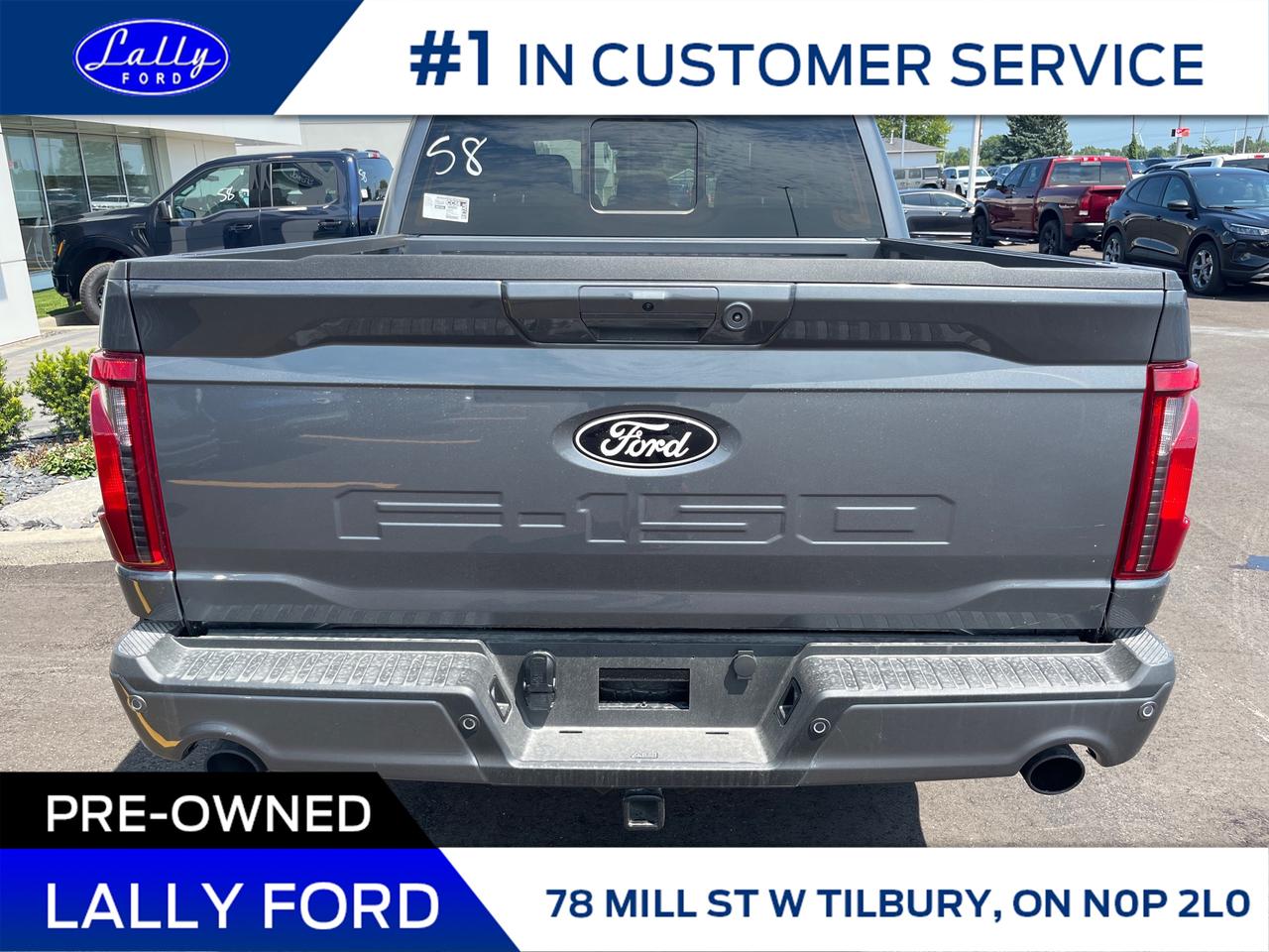 2025 Ford F-150 XLT Photo