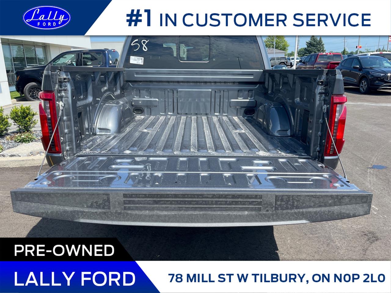 2025 Ford F-150 XLT Photo