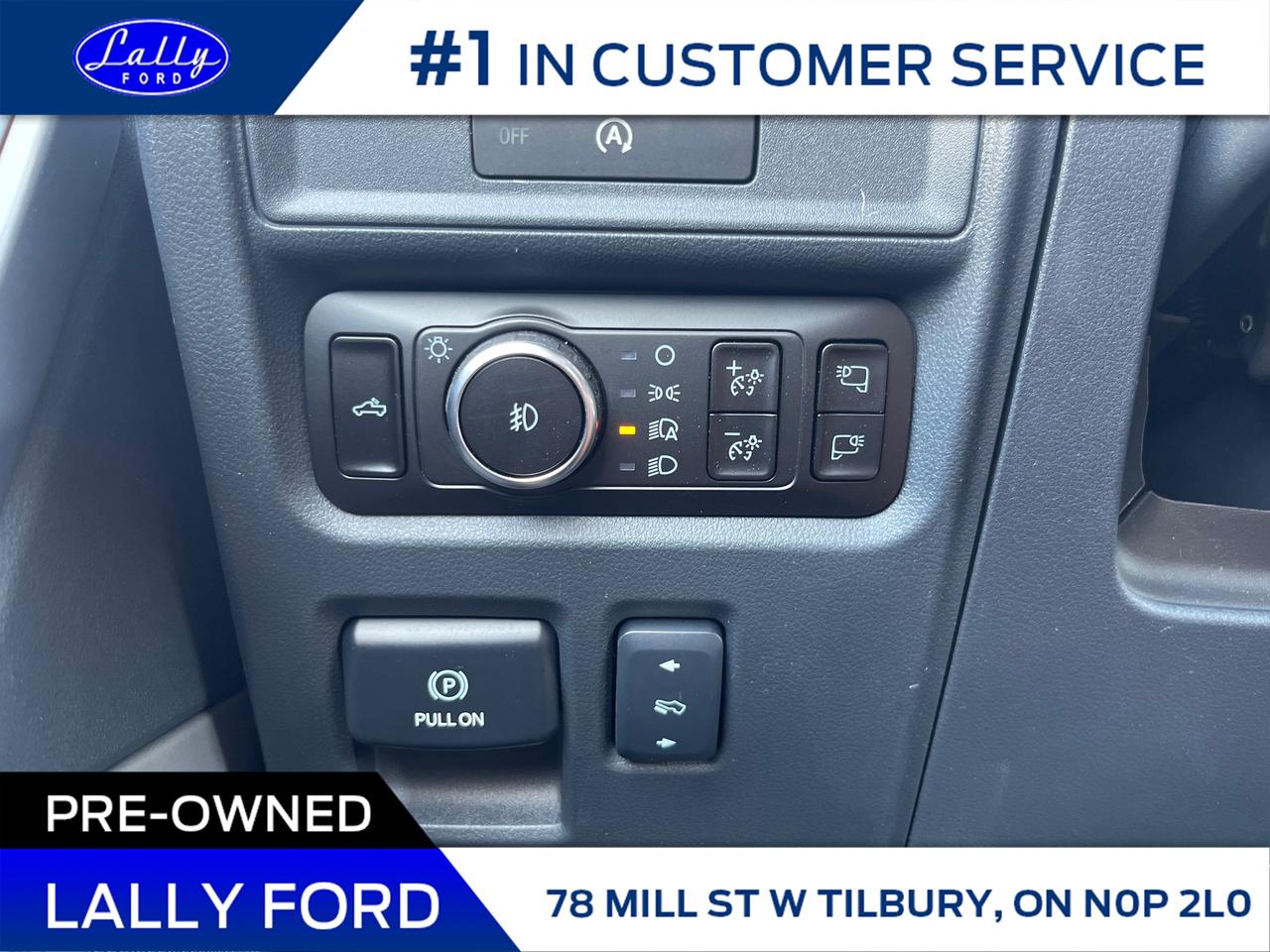 2025 Ford F-150 XLT Photo