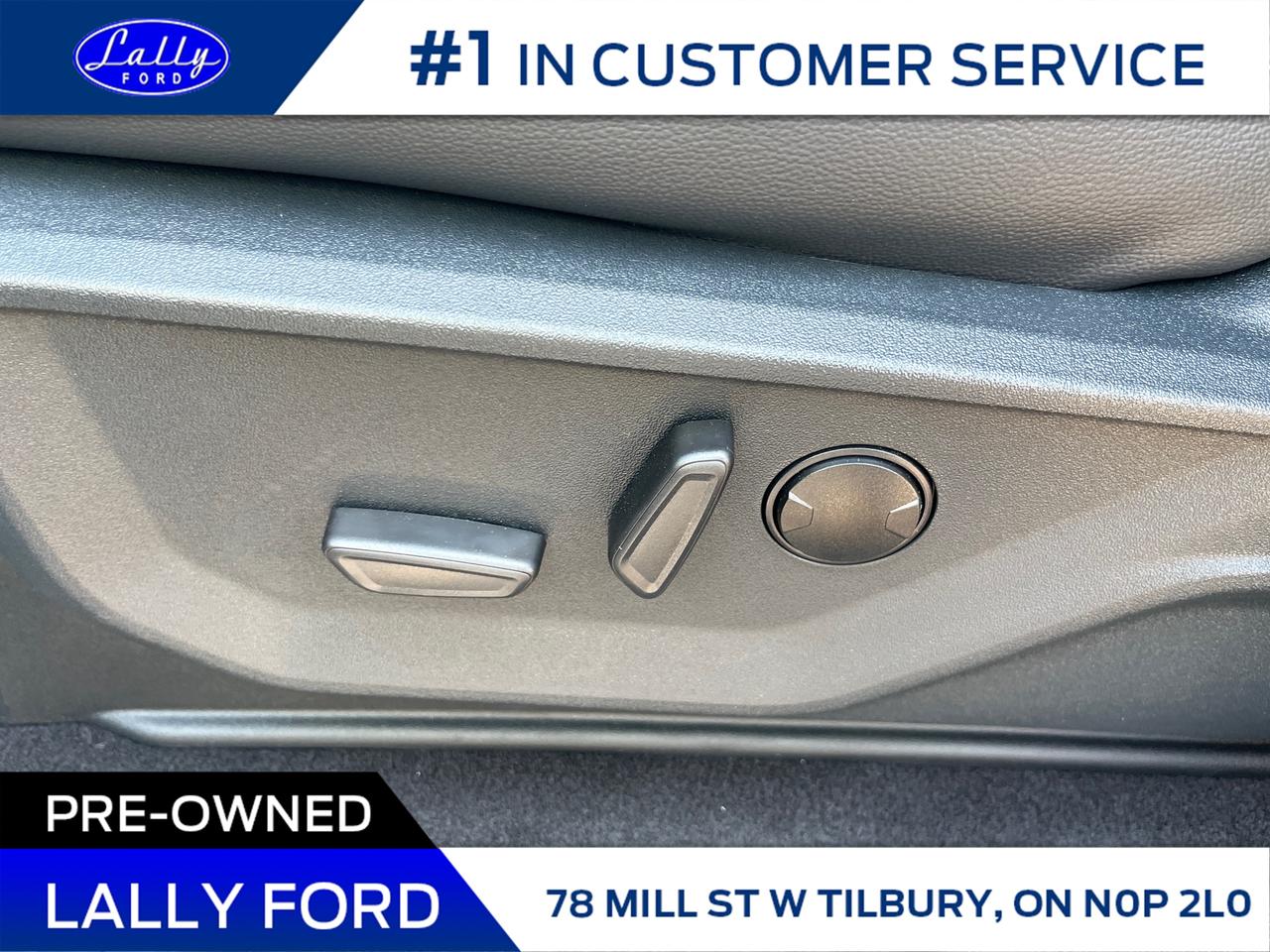 2025 Ford F-150 XLT Photo