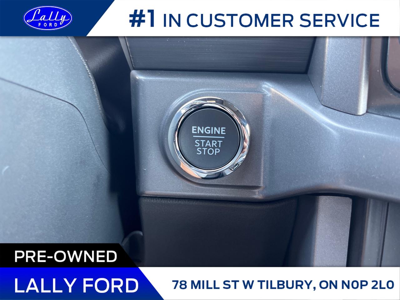 2025 Ford F-150 XLT Photo