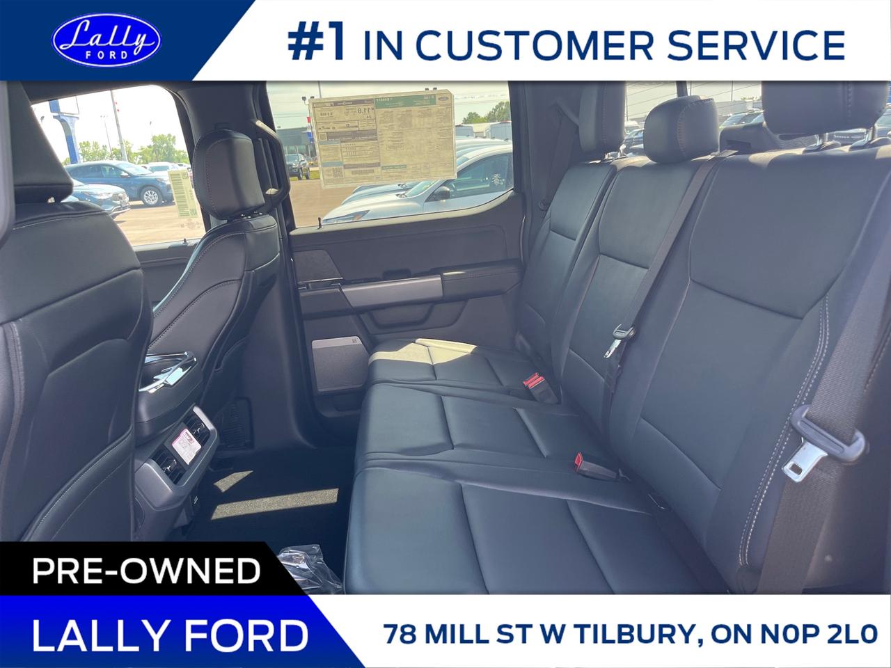 2025 Ford F-150 XLT Photo