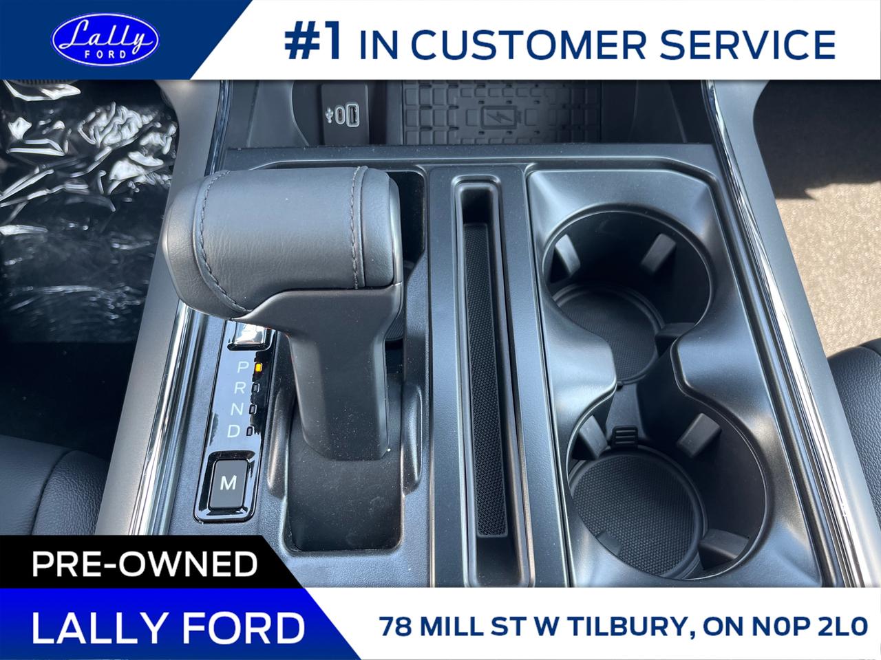 2025 Ford F-150 XLT Photo