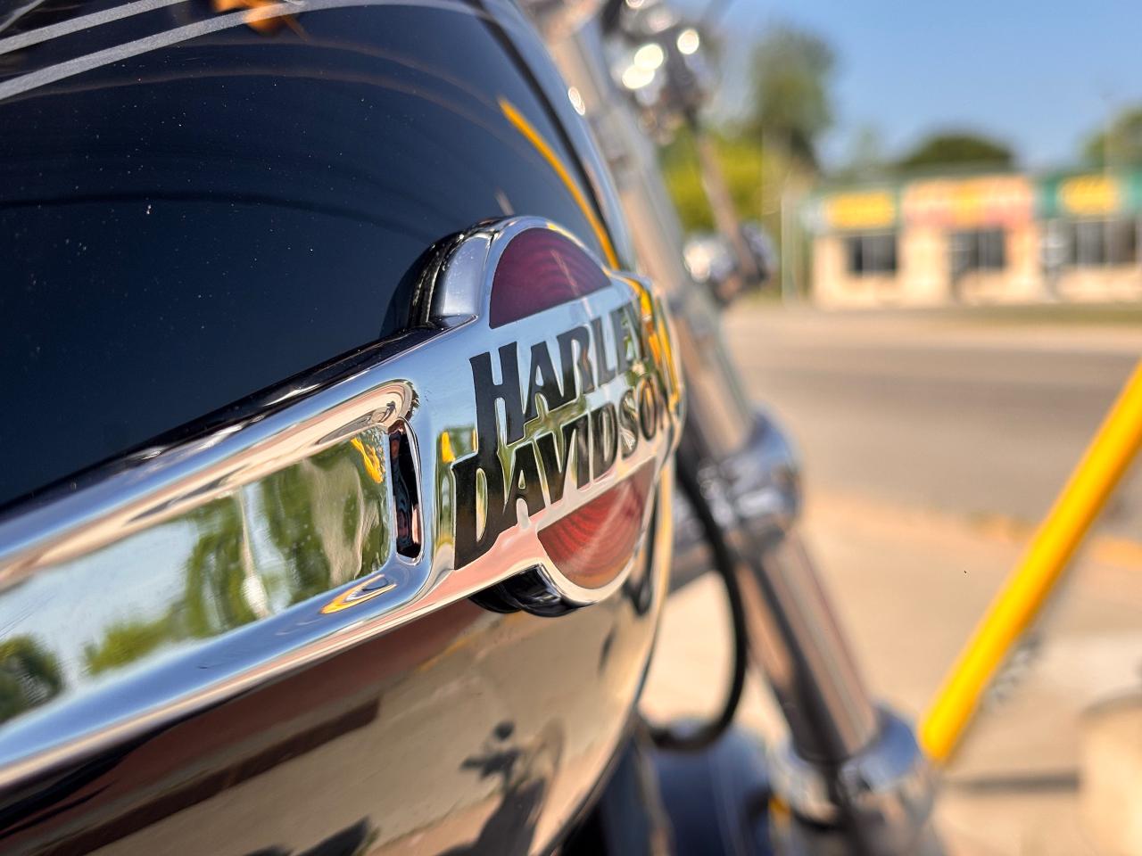 2016 Harley-Davidson Sportster 1200 Excellent Condition, Low KM'S, Fully Financeable!