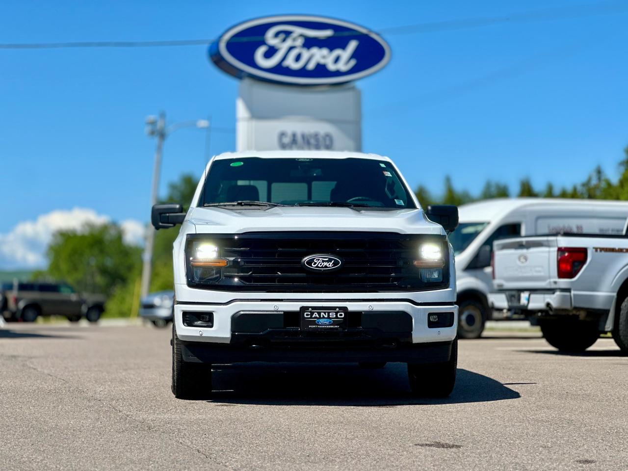 2025 Ford F-150 XLT 4WD SuperCrew 5.5' Box Photo1