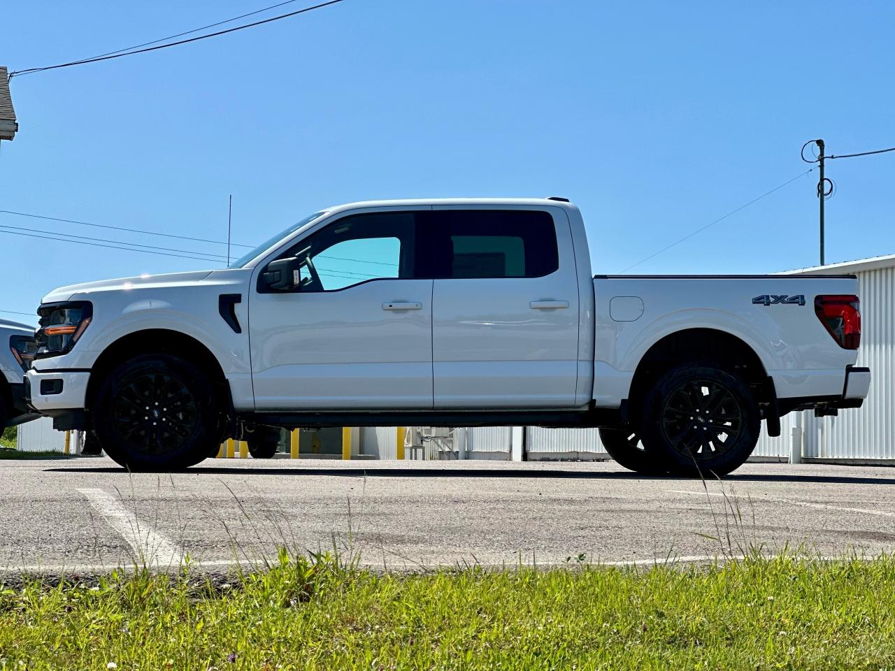 2025 Ford F-150 XLT 4WD SuperCrew 5.5' Box Photo3