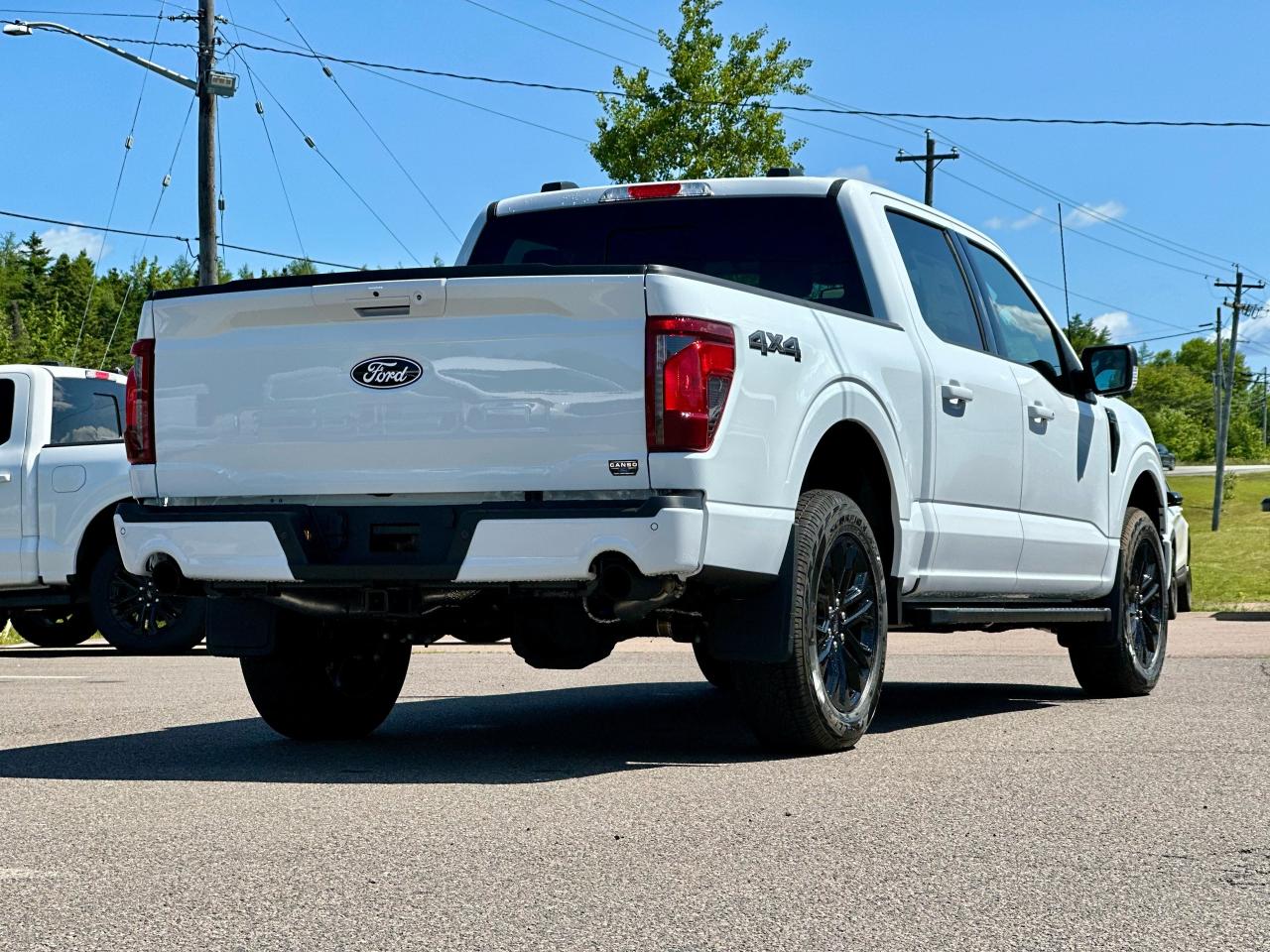 2025 Ford F-150 XLT 4WD SuperCrew 5.5' Box Photo5