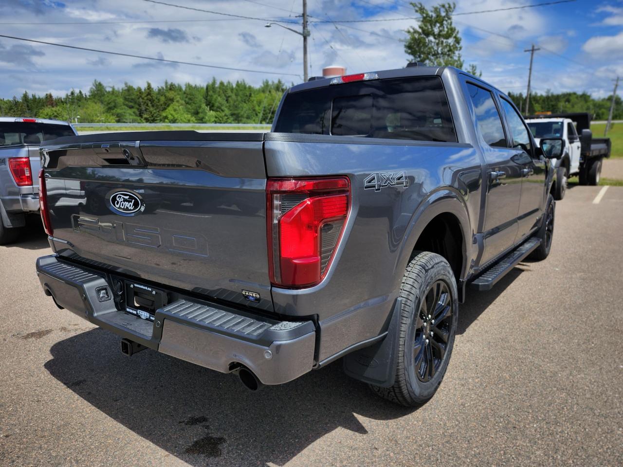 2025 Ford F-150 XLT 4WD SuperCrew 5.5' Box Photo4