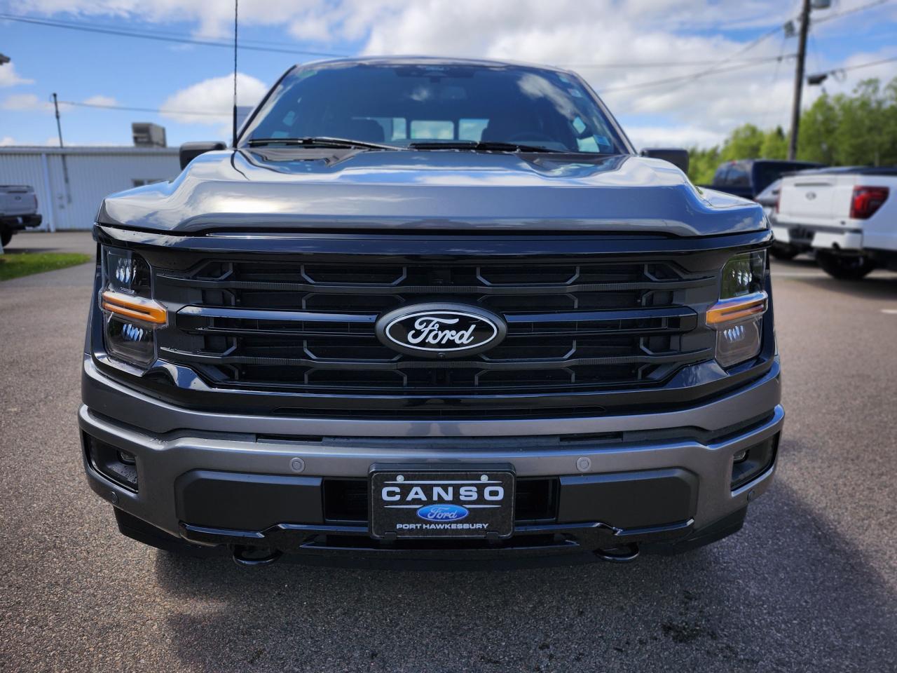 2025 Ford F-150 XLT 4WD SuperCrew 5.5' Box Photo