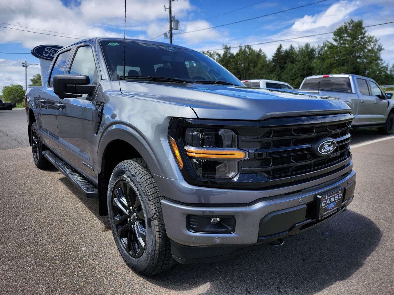 2025 Ford F-150 XLT 4WD SuperCrew 5.5' Box Photo