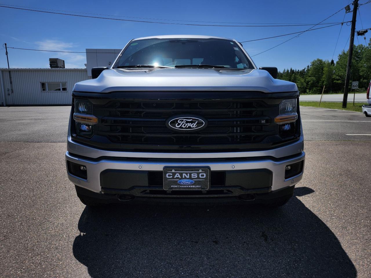 2025 Ford F-150 XLT 4WD SuperCrew 5.5' Box Photo
