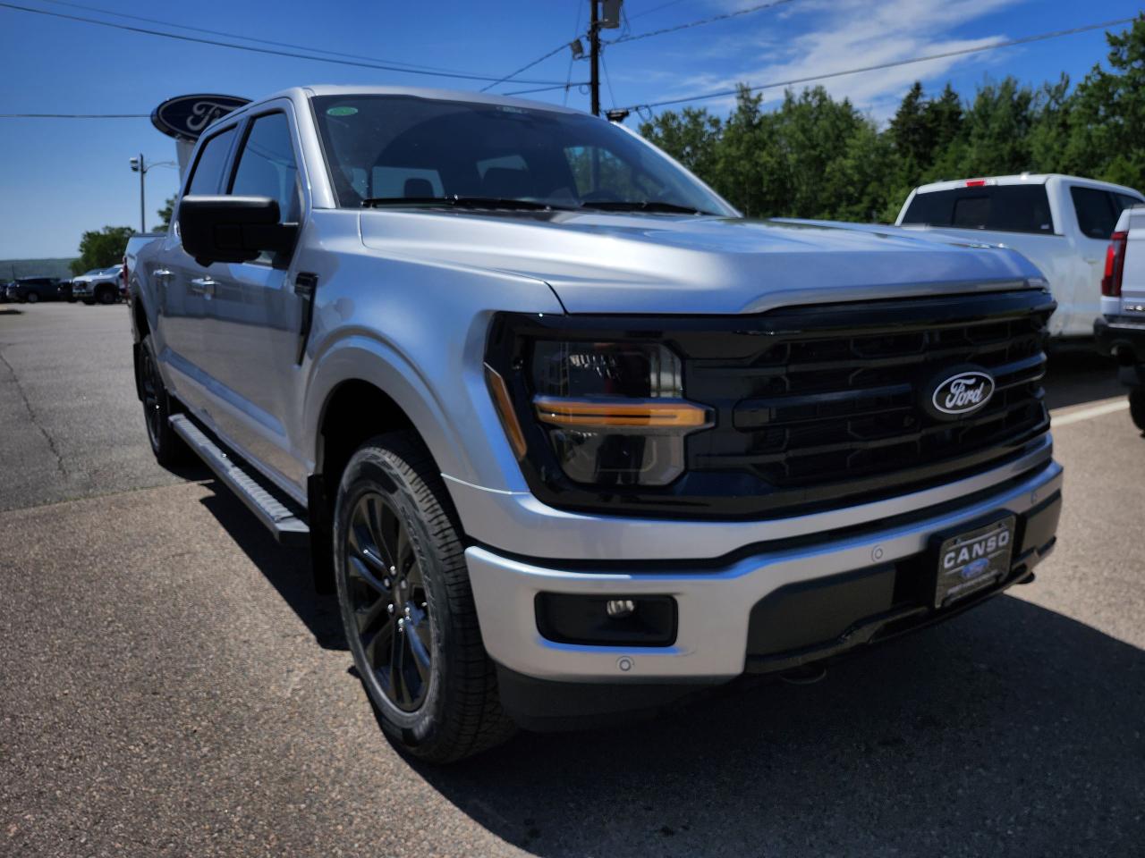 2025 Ford F-150 XLT 4WD SuperCrew 5.5' Box Photo2