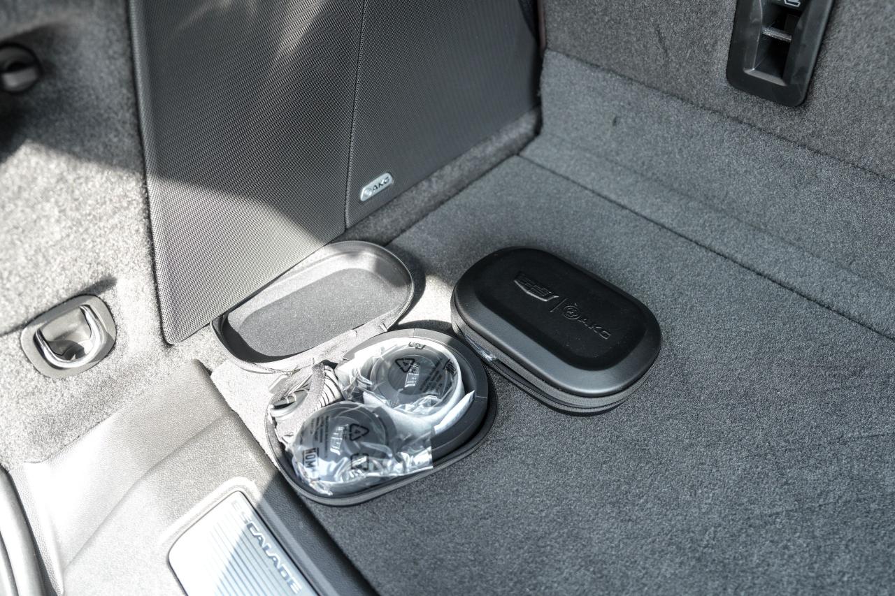 2023 Cadillac Escalade 4WD Premium Luxury Platinum - Photo #12