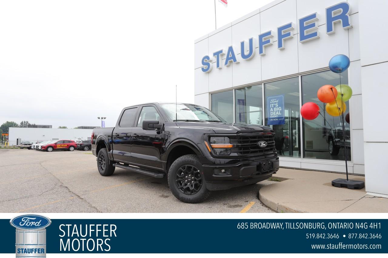 2025 Ford F-150 XLT 4WD SuperCrew 5.5' Box Photo0