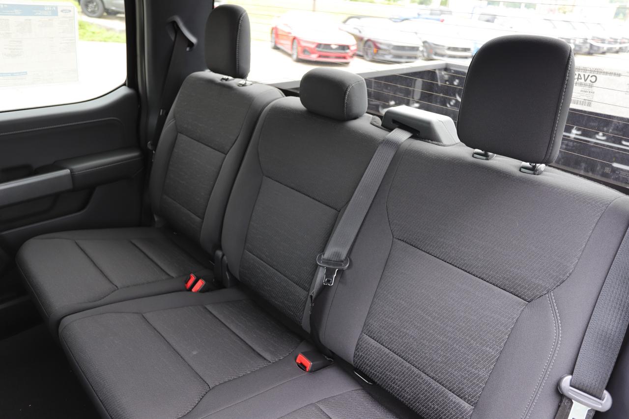 2025 Ford F-150 XLT 4WD SuperCrew 5.5' Box Photo5