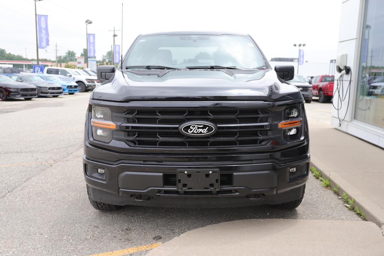 2025 Ford F-150 XLT 4WD SuperCrew 5.5' Box Photo5
