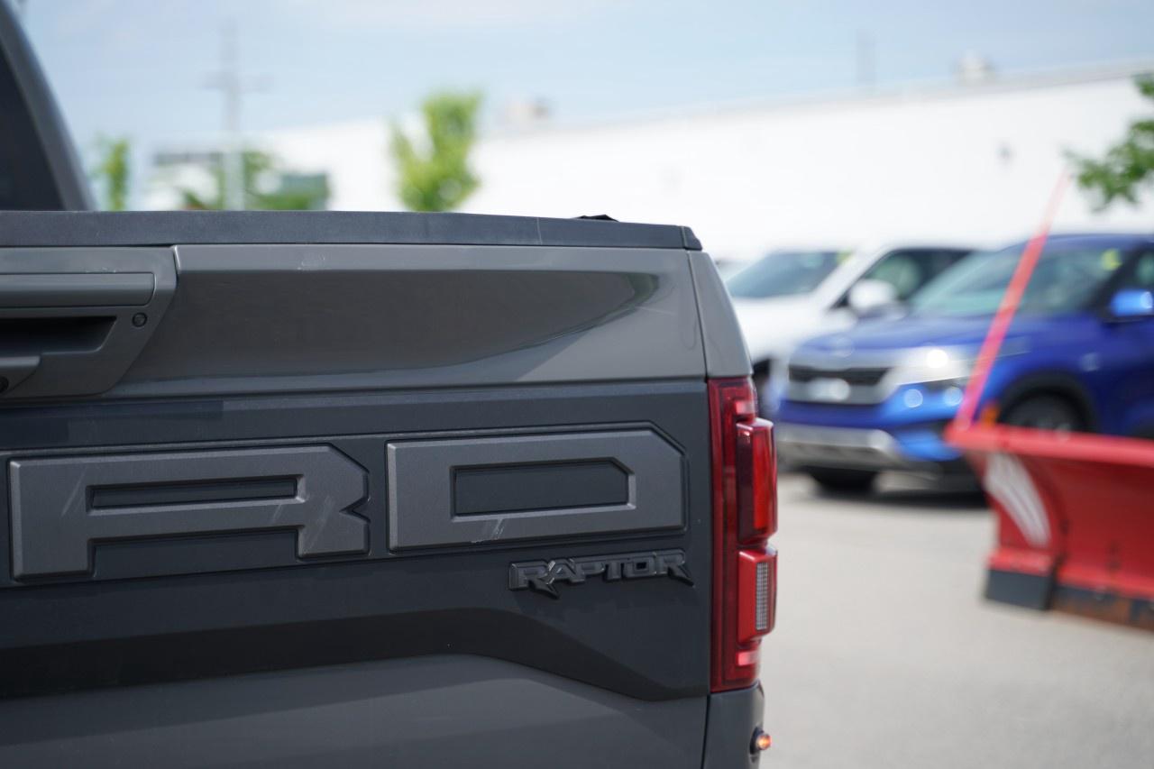 2020 Ford F-150 Raptor 4WD SuperCrew 5.5' Box Photo