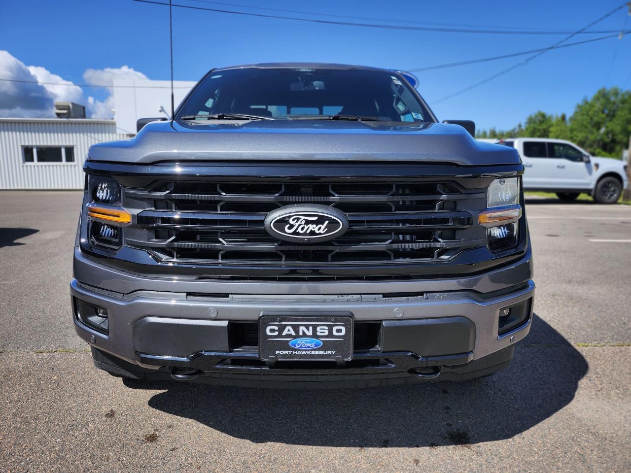 2025 Ford F-150 XLT 4WD SuperCrew 5.5' Box Photo1