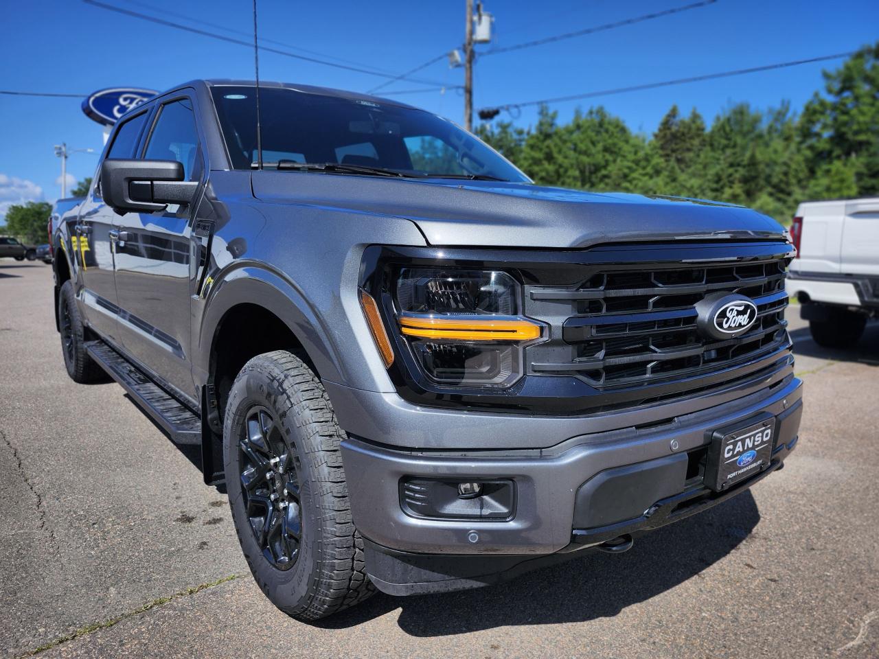 2025 Ford F-150 XLT 4WD SuperCrew 5.5' Box Photo2
