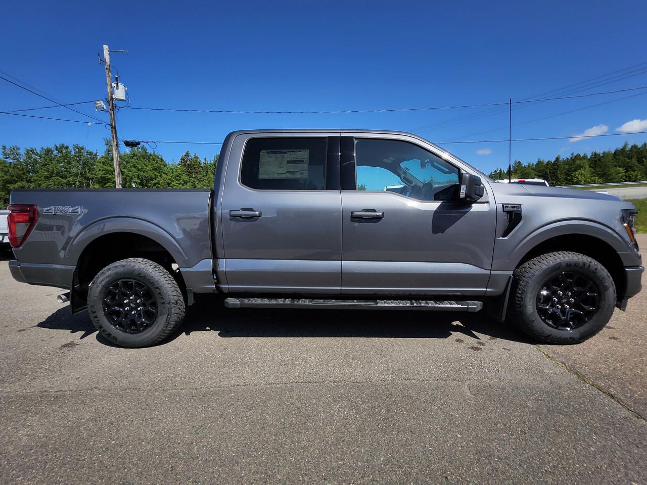 2025 Ford F-150 XLT 4WD SuperCrew 5.5' Box Photo