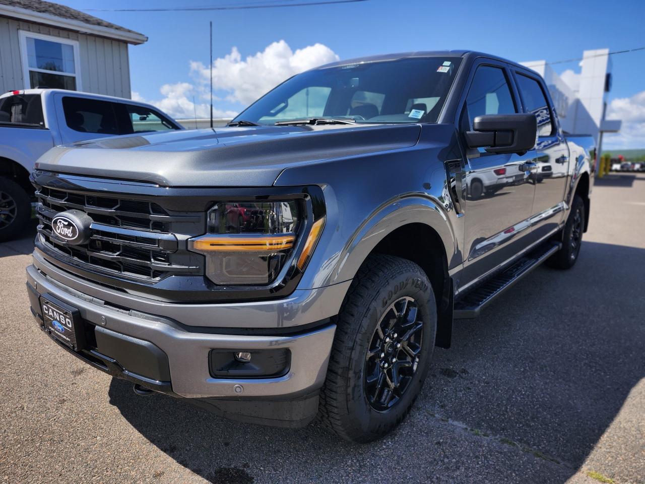 2025 Ford F-150 XLT 4WD SuperCrew 5.5' Box Photo5
