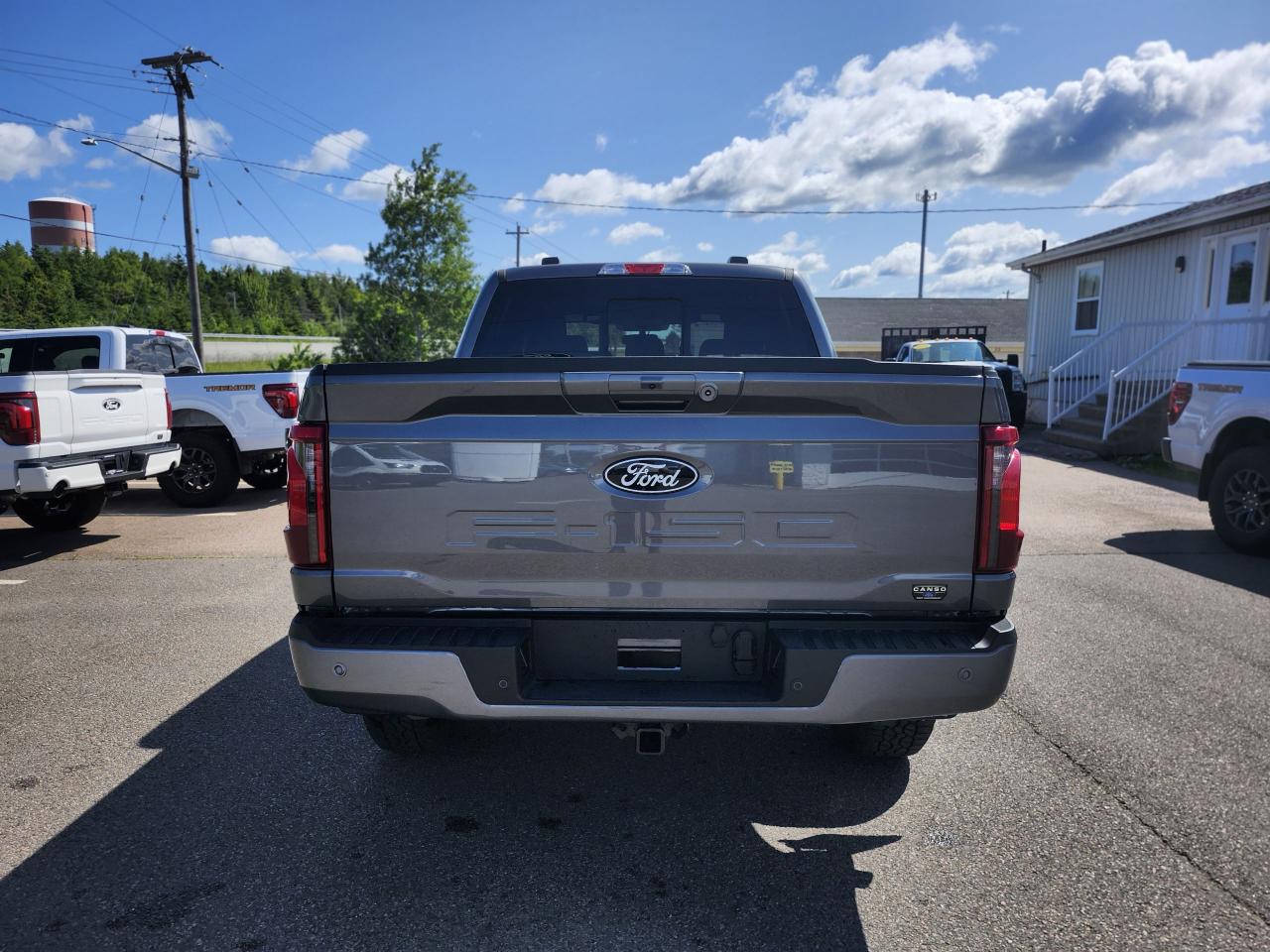 2025 Ford F-150 XLT 4WD SuperCrew 5.5' Box Photo5