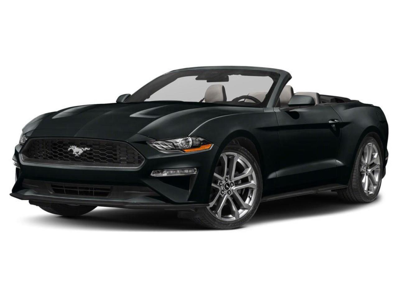 Used 2022 Ford Mustang EcoBoost Premium for sale in Oakville, ON