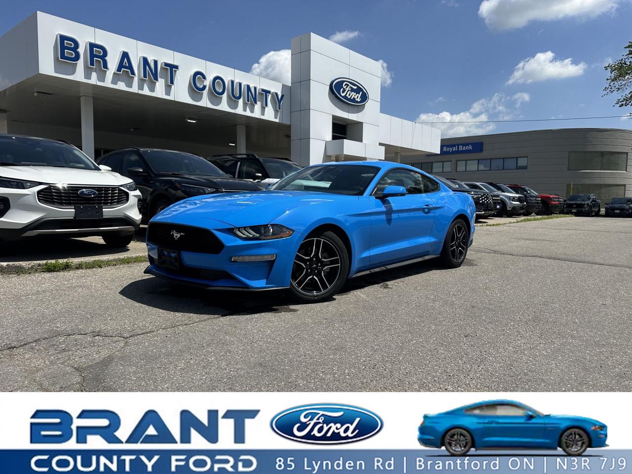 ECOBOOST PREMIUM | AUTOMATIC | LEATHER SEATS | HEATED AND COOLED SEATS | ONLY 37,000 KMS