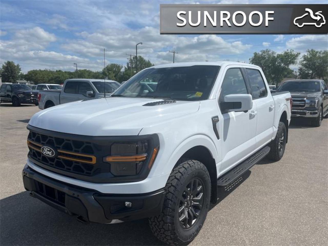 2025 Ford F-150 Tremor  - Leather Seats - Sunroof Photo4