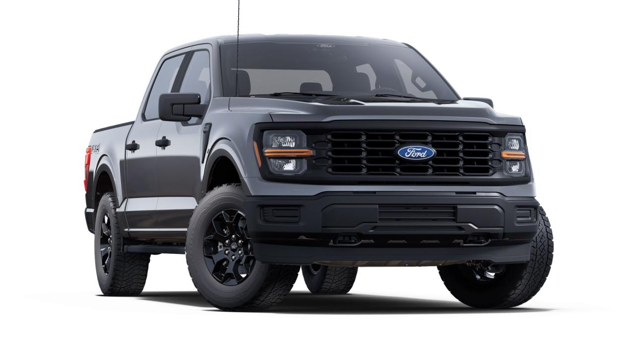 2025 Ford F-150 STX 4WD SuperCrew 5.5' Box 201A Photo3