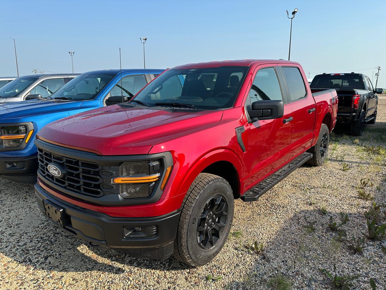 New 2025 Ford F-150 STX 4WD SuperCrew 5.5' Box 201A for sale in Elie, MB